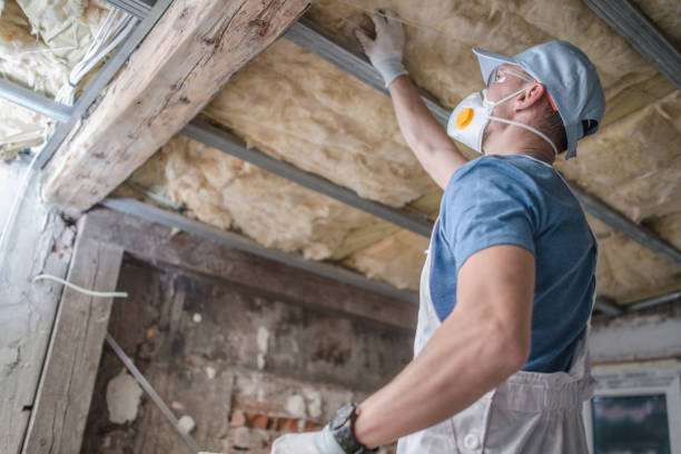 Best Insulation Maintenance and Repair in Pottsboro, TX